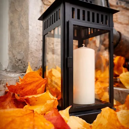 Z-1 Old Town O&p Apartfamily Apartment *