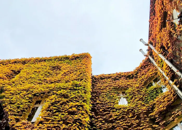 Z-1 Old Town O&p Apartfamily Krakow