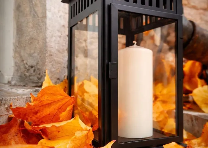 Z-1 Old Town O&p Apartfamily Apartment *